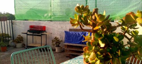 Belvedere Apartment | Casa Dalila