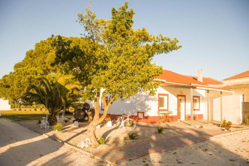 Palhais House | Casa das Pipas Palmela #4