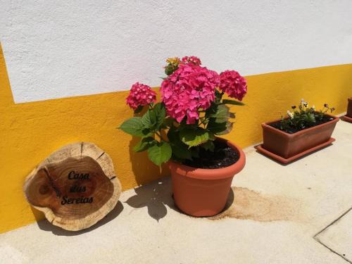Ribeira Grande House | Casa das Sereias