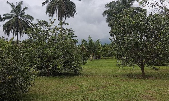 Parrita House | Casa de Amigos