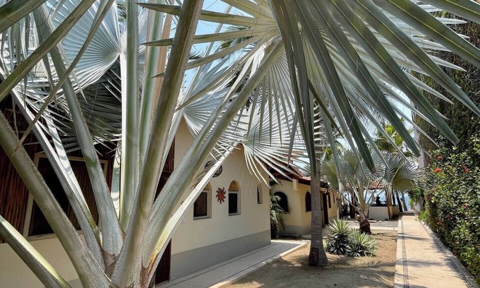 Barra de Potosi House | Casa de la Luna - La Nopalera