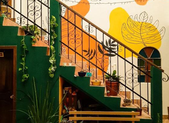 De Guadalupe House | Casa de Tlaly