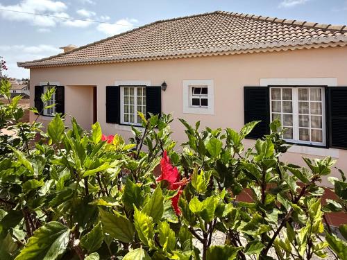 Campo de Baixo House | Casa do Cisne