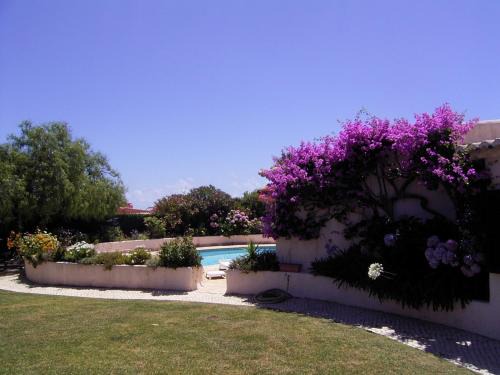 Porto de Mos Villa | Casa do Girassol