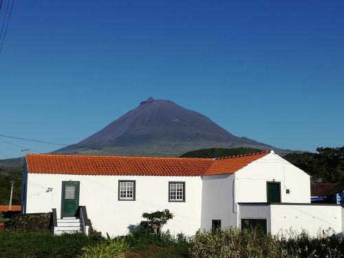 Madalena House | Casa dos biscoitos