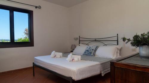 Baia Sant'Anna Apartment | Casa EOS