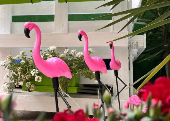 Figueira da Foz Other | Casa Flamingo