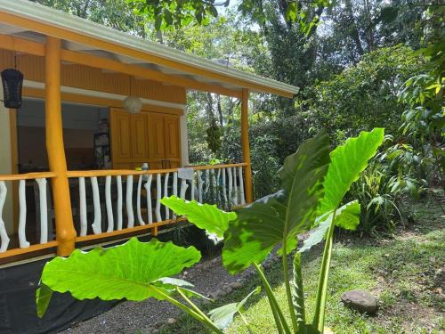 Cocles House | Casa gardenia cocles beach
