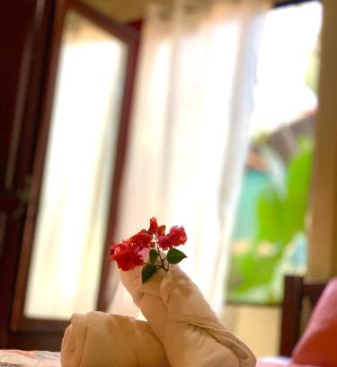 Puerto Jimenez House | Casa Heliconia