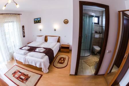 Sibiu House | Casa Ienciu