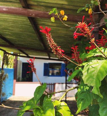 Manguinhos House | Casa Inaê