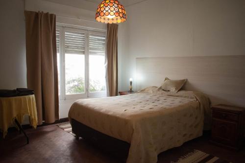 Province of Rio Negro House | Casa Ita y Nestor