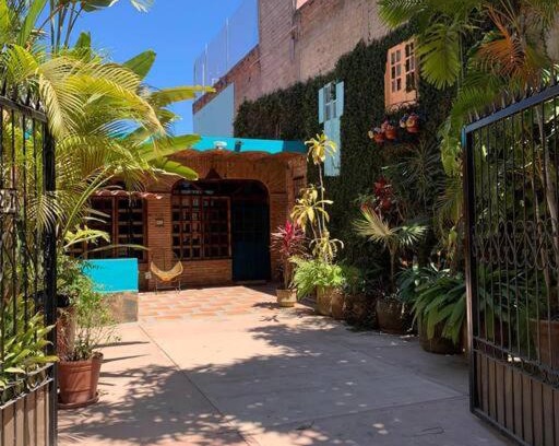 Lo de Marcos House | Casa Jardin