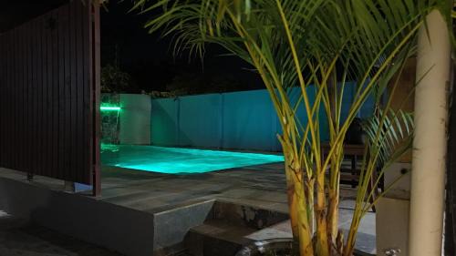 Quepos House | Casa Leona