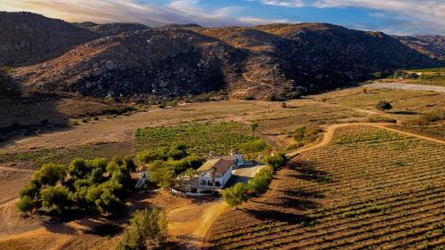 Valle de Guadalupe House | Casa Luna Viñedo