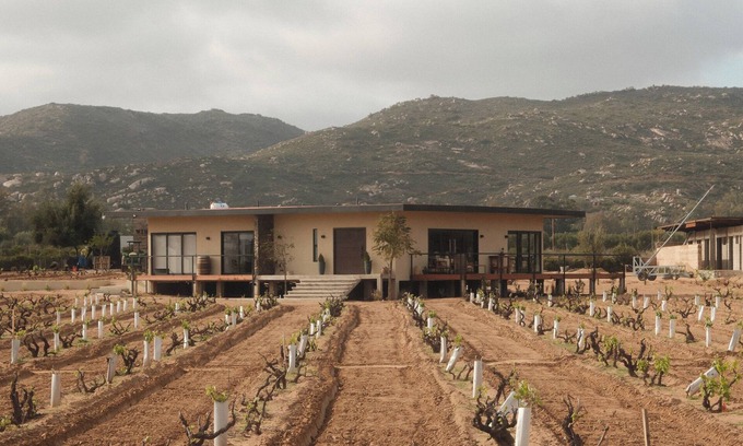 Valle de Guadalupe Villa | Casa Maul/Valle de Guadalupe/Incredible Home in Private Vineyard