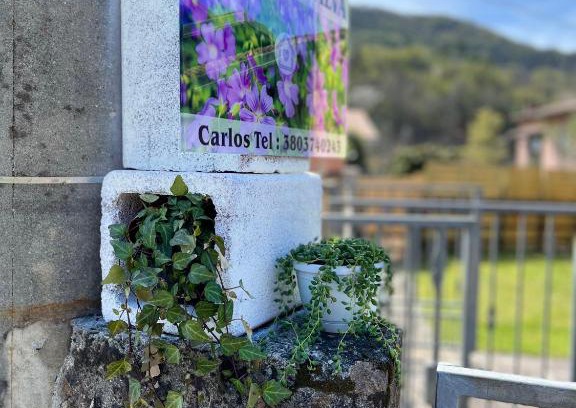 Ricco del Golfo di Spezia Apartment | CASA MIA MALVA