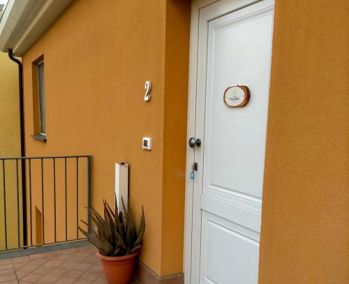 Uliveto Terme Apartment | Casa Moki