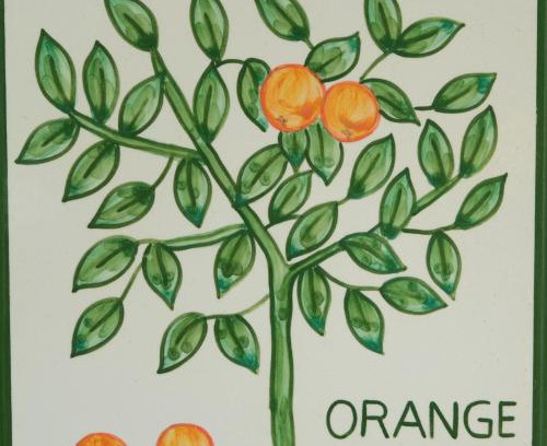 Funchal Apartment | Casa Monte Cristo Apartments - Orange