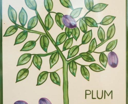 Funchal Apartment | Casa Monte Cristo Apartments - Plum