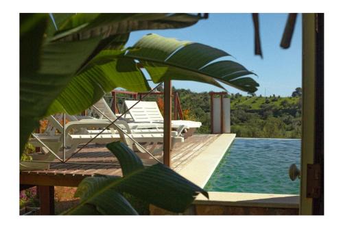Boliqueime House | Casa Monte das Medronheiras
