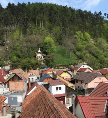 Brasov Villa | Casa Mountain view