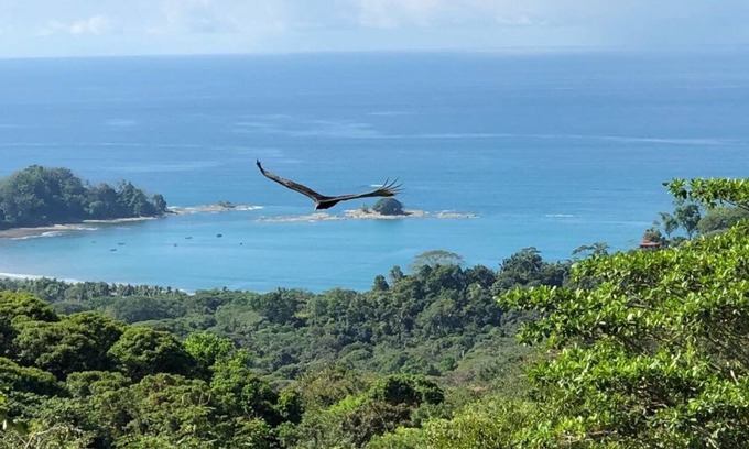 Dominicalito Villa | Casa Naranja spacious home surrounded by tropical forest with superb bay view