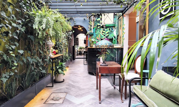 Colonia Cuauhtemoc Hotel | Casa Panuco