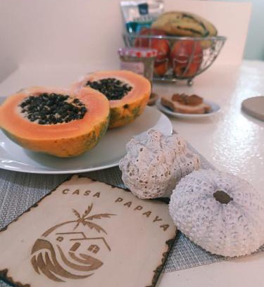 Sal Rei Apartment | Casa Papaya19