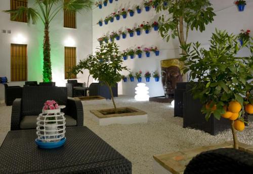 Santiago Apartment | CASA PATIO LAS PALMERAs 5 y 6