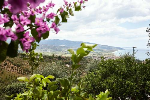 Casal Velino Apartment | Casa Pendio Cilento