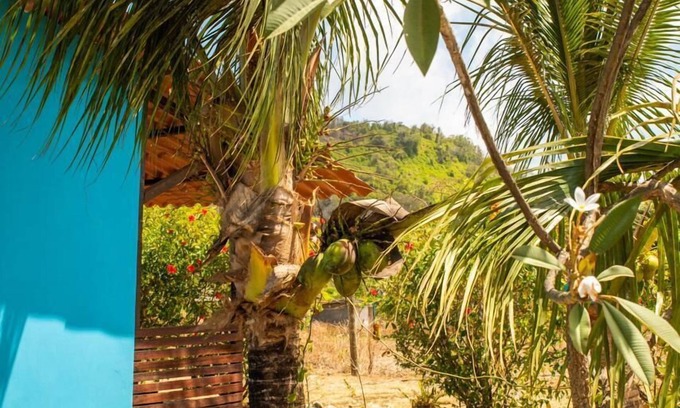 Vila da Trinta Apartment | Casa Pitanga Noronha