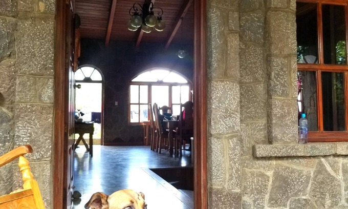 Zona 18 Hotel | Casa Qatzij - Guest House