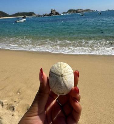 Santa Maria Huatulco Apartment | Casa Quimera