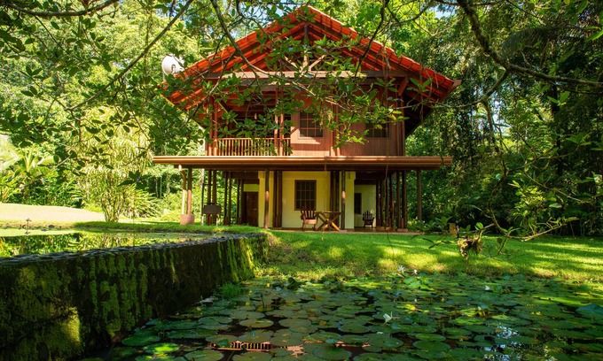 Palma House | Casa Ranas, Osa, Gorgeous Home on Edge of Private 32acres of Forest, Easy Access