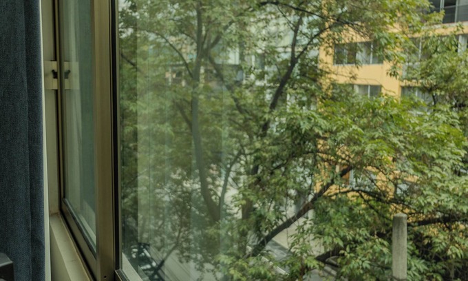 Colonia Roma Hotel | Casa Romita