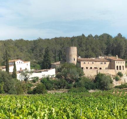 Avinyonet del Penedes House | Casa rural La Torre