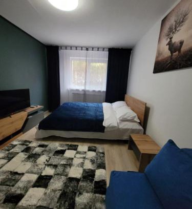 Resita Apartment | Casa Rusu -Moroasa-Self check in-24h Netflix