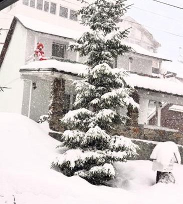 Lupeni House | Casa Serban