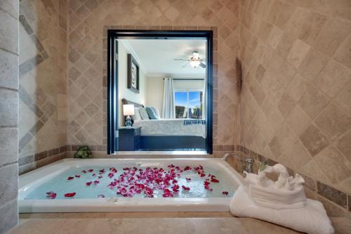 El Medano Ejidal Apartment | Casa Sirena Cabo Poolside Oasis Minutes from Beach