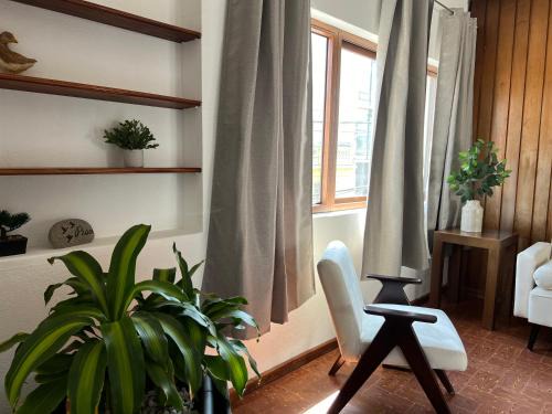 Guatemala City Historical District Apartment | Casa Stella Centro Histórico