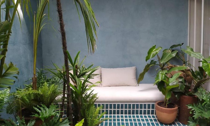 Roma Sur House | Casa Tepeji