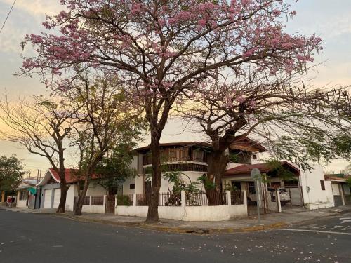 Liberia Hotel | Casa Todah B&B