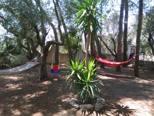 Matino House | Casa Vacanze La Pineta