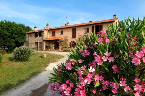 Suvereto Apartment | Casa Vacanze Valdicciola