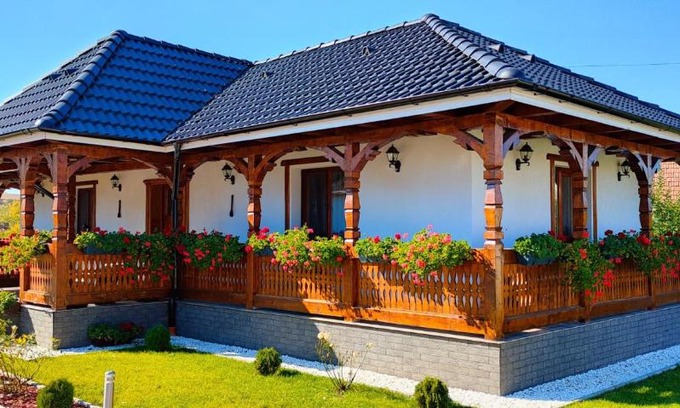 Raciu House | Casa Vasu