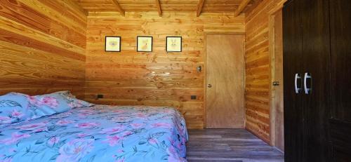 Conaripe House | Casa Verde