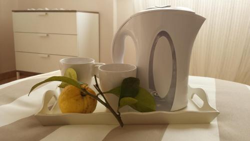 Marina di Massa Hotel | Casa Versilia Hotel