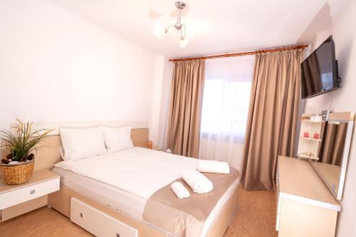 Curtea De Arges Apartment | Casa Walter City Center - 4 Rooms and Private Parking