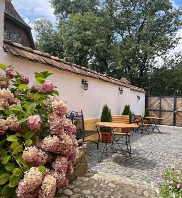 Sighisoara House | Casa Zatler 2#